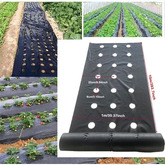 VEGMESH™ – FOLIJA ZA SADNJU (1x10m)