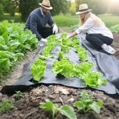 VEGMESH™ – FOLIJA ZA SADNJU (1x10m)