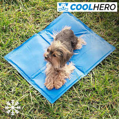 JASTUK ZA HLAĐENJE ZA PSE COOLHERO™